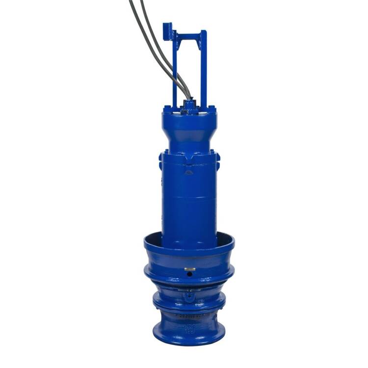 Submersible Pump (Summer Pump)